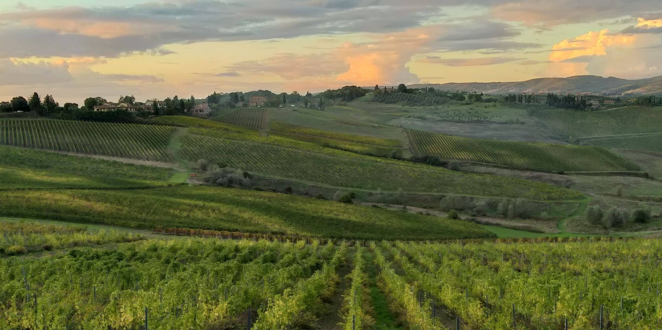 Roteiro Enogastronômico, sabores e paisagens da Toscana