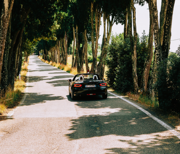 Estrada arborizada pelo interior da Toscana